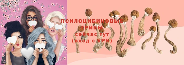 эйфоретик Белокуриха