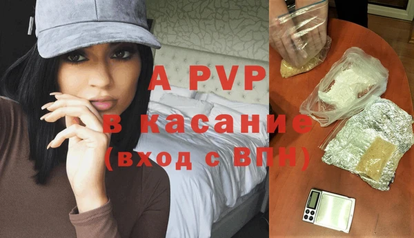 эйфоретик Белокуриха