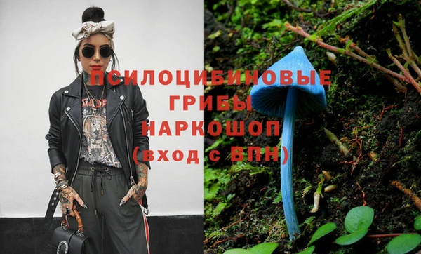 эйфоретик Беломорск