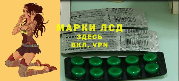 эйфоретик Белокуриха